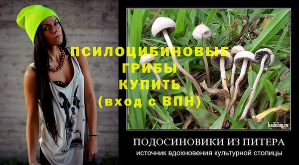эйфоретик Лабытнанги