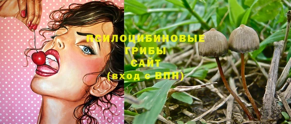 mdpv Ладушкин
