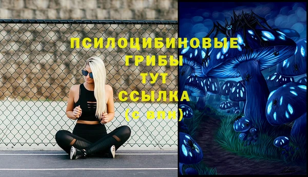 гидра Лиски