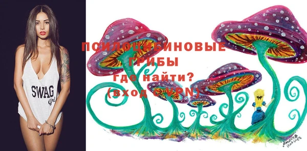гидра Лиски