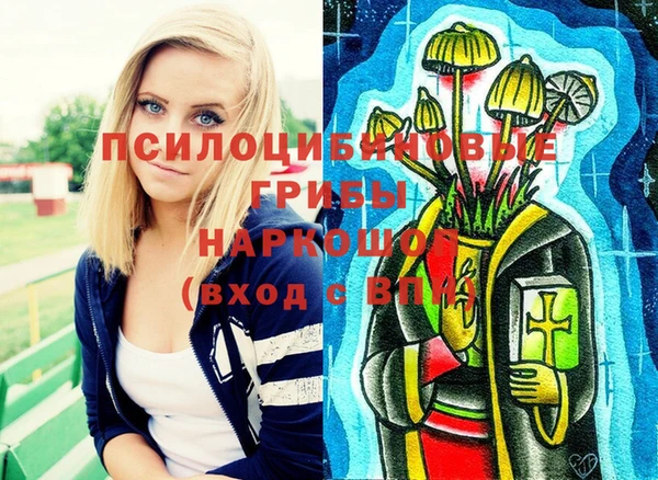 mdpv Ладушкин