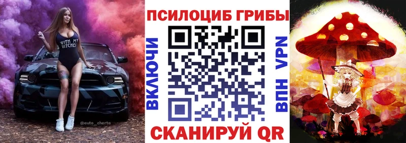 блэк спрут ССЫЛКА  Пушкино  Галлюциногенные грибы GOLDEN TEACHER 