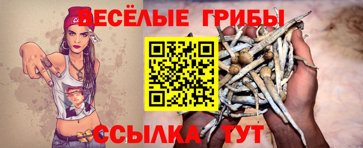 Псилоцибиновые грибы GOLDEN TEACHER Пушкино