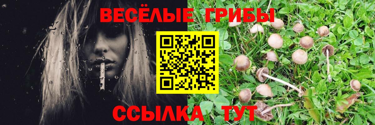 Псилоцибиновые грибы ЛСД  Псилоцибиновые грибы Psilocybine cubensis  Пушкино  Вход с VPN 